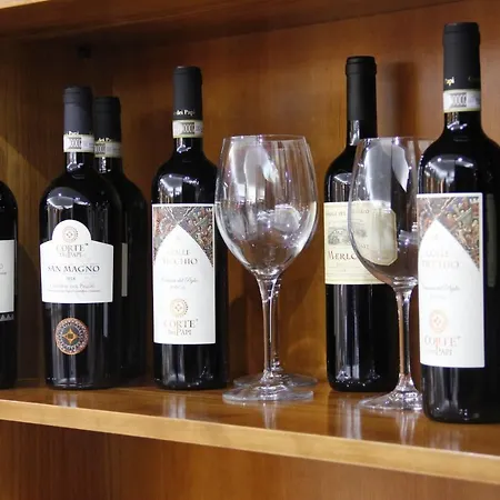 Hotel Citta' Dei Papi 3*